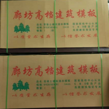 金广 廊坊金广高档清水模板桥梁专用版  厂家直销 质量保证 13663803291