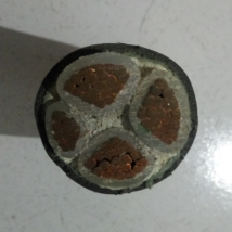 郑上 铜力缆